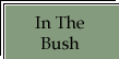 The Bush